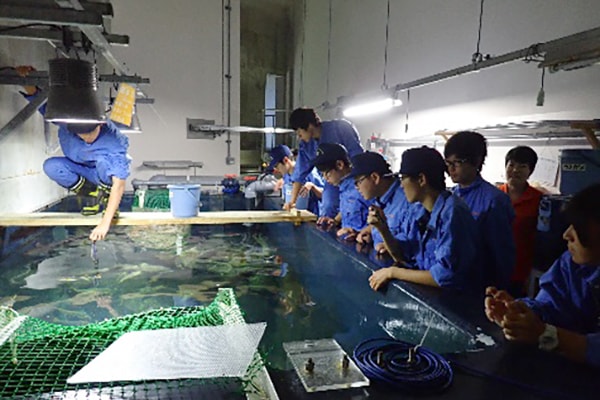 加茂水産高校の取り組み 水族館学概論の写真2