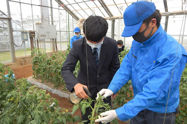 大原高等学校の取り組み アクアポニックスの写真02
